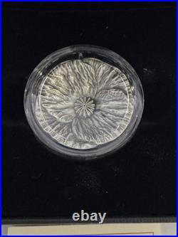 2020 28.50g PURE SILVER (ANTIQUE) $20 COIN. REMEMBRANCE DAY