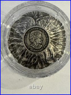 2020 28.50g PURE SILVER (ANTIQUE) $20 COIN. REMEMBRANCE DAY