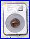 2022-Niue-5-METAL-FISH-STEAMPUNK-Antique-High-Relief-2-oz-Silver-NGC-MS70-01-cy