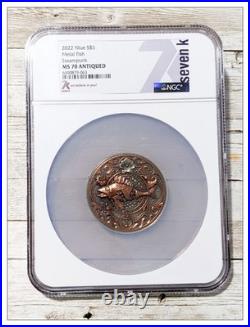 2022 Niue $5 METAL FISH STEAMPUNK Antique High Relief 2 oz. Silver NGC MS70 2022 Niue $5 METAL FISH STEAMPUNK Antique High Relief 2 oz. Silver NGC MS70