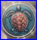2023-2-Niue-Loggerhead-Sea-Turtle-Lifelong-Journey-2-oz-Antique-Silver-in-OGP-01-pvf