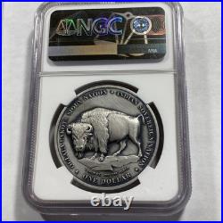 2023 Ogala Sioux Nation Silver One Papa High Relief NGC MS70 Antiqued Item 9311 2023 Ogala Sioux Nation Silver One Papa High Relief NGC MS70 Antiqued Item 9311