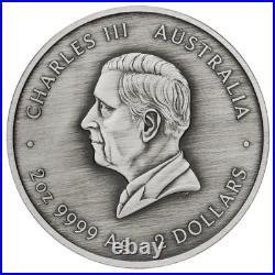 2024 Australia Kookaburra Kaa Kaa 2 oz Silver Colorized Antiqued Coin 2024 Australia Kookaburra Kaa Kaa 2 oz Silver Colorized Antiqued Coin