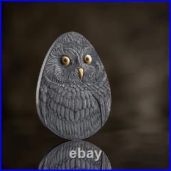 2024 Niue Marvelous Owls Short-eared Owl 1 oz Silver Antiqued Gilded Coin 2024 Niue Marvelous Owls Short-eared Owl 1 oz Silver Antiqued Gilded Coin
