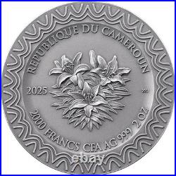 2025 Cameroon Aurora Celestial Beauty 2 oz Antique finish Silver Coin