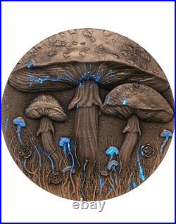 2025 Cameroon Magic Mushroom 2 oz Silver Antiqued UV Enamel Coin