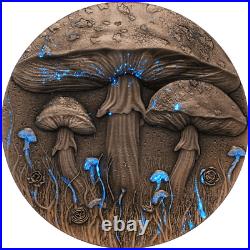 2025 Cameroon Magic Mushroom 2 oz Silver Antiqued UV Enamel Coin MINTAGE OF 199