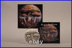 2025 Cameroon Magic Mushroom 2 oz Silver Antiqued UV Enamel Coin MINTAGE OF 199