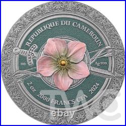 Amazon Femina Bellator 2 oz Antique finish Silver Coin CFA Cameroon 2024 Amazon Femina Bellator 2 oz Antique finish Silver Coin CFA Cameroon 2024