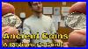 Ancient-Coins-A-Beginner-S-Guide-At-Harlan-J-Berk-Coin-Shop-01-dsz
