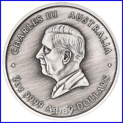 Australian Turtle Yaunati 2026 2oz Silver Antiqued Coloured Coin
