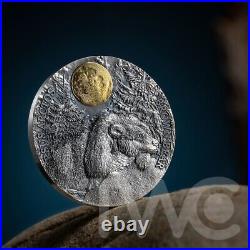 Brown Bear Wildlife in the Moonlight 2 oz Antique finish Silver Coin Niue 2023 Brown Bear Wildlife in the Moonlight 2 oz Antique finish Silver Coin Niue 2023