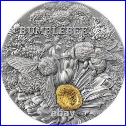 Bumblebee Nature Architects 2 oz Antique finish Silver Coin 10 cedis Ghana 2023 Bumblebee Nature Architects 2 oz Antique finish Silver Coin 10 cedis Ghana 2023