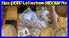 I-Spent-1-000-On-This-Coin-Collection-What-I-Found-Shocked-Me-01-fjb