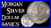Morgan-Silver-Dollar-Basics-Coin-Collecting-And-Silver-Stacking-01-urr